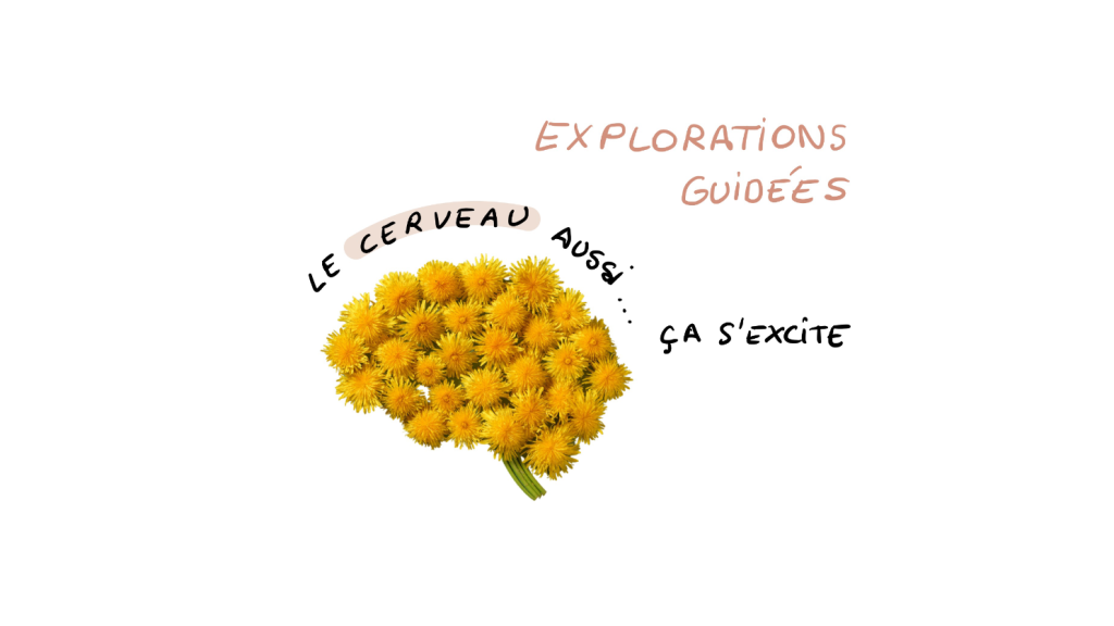 Explorations guidées fantasmes