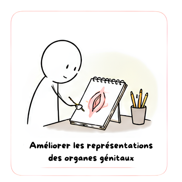 Améliorer Les Représentations Des Organes Génitaux
